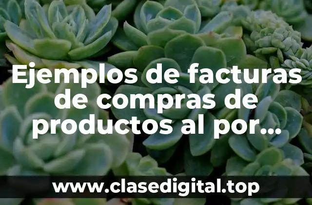 Ejemplos de facturas de compras de productos al por mayor