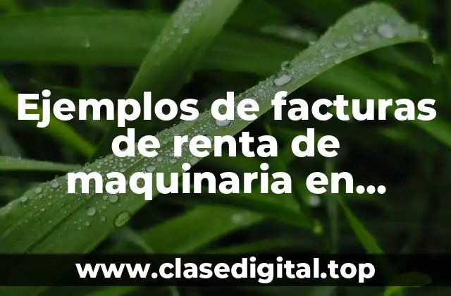 Ejemplos de facturas de renta de maquinaria en Tamaulipas