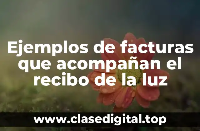 Ejemplos de facturas que acompañan el recibo de la luz