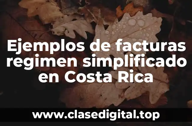 Ejemplos de facturas regimen simplificado en Costa Rica