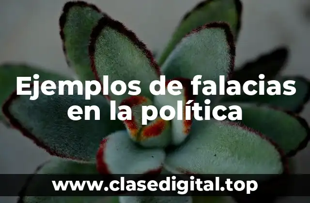 Ejemplos de falacias en la política