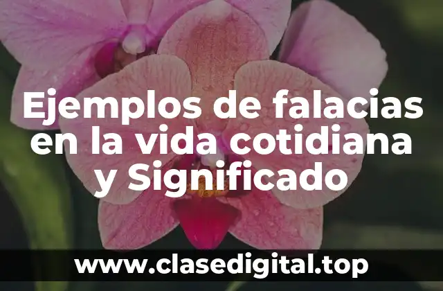 Ejemplos de falacias en la vida cotidiana y Significado
