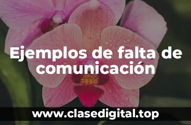 Ejemplos de falta de comunicación