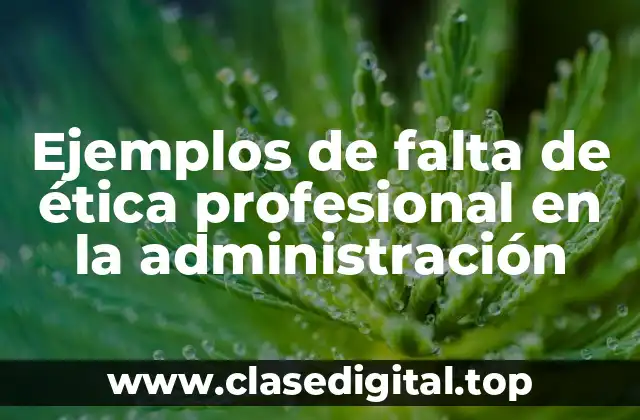 Ejemplos de falta de ética profesional en la administración