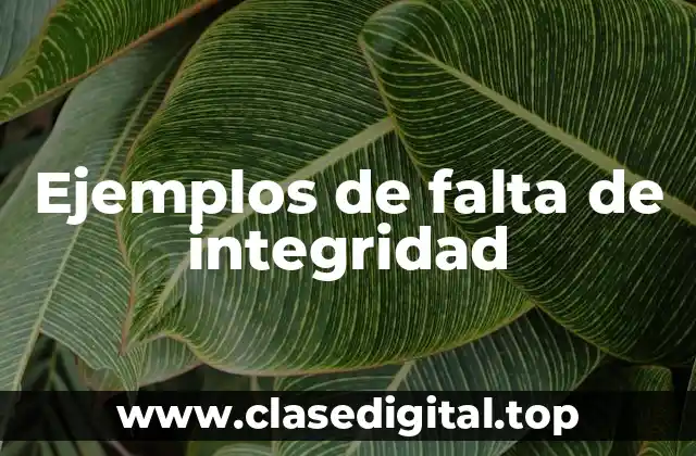 Ejemplos de falta de integridad