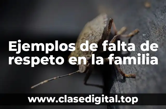 Ejemplos de falta de respeto en la familia