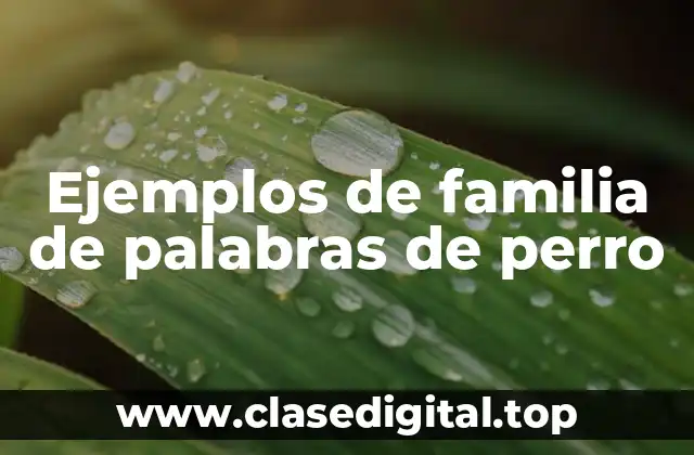 Ejemplos de familia de palabras de perro