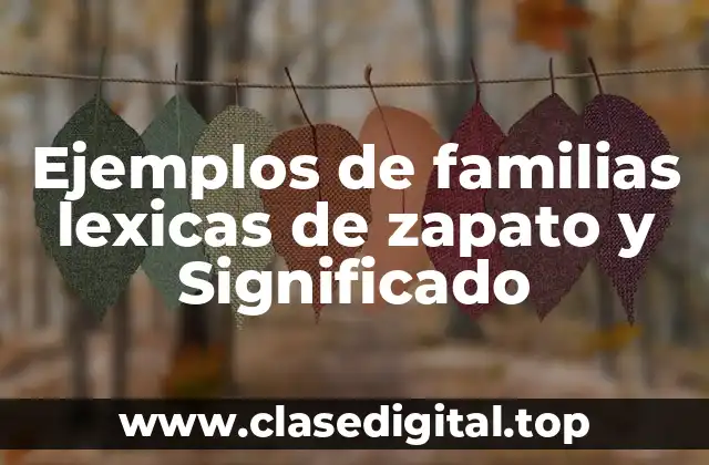 Ejemplos de familias lexicas de zapato y Significado