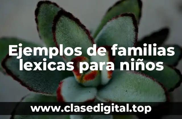 Ejemplos de familias lexicas para niños