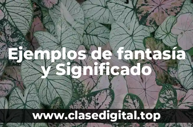 Ejemplos de fantasía y Significado