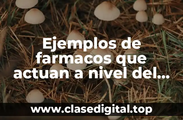 Ejemplos de farmacos que actuan a nivel del snc y Significado