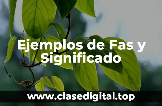 Ejemplos de Fas y Significado
