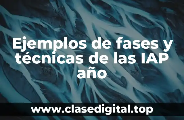 Ejemplos de fases y técnicas de las IAP año