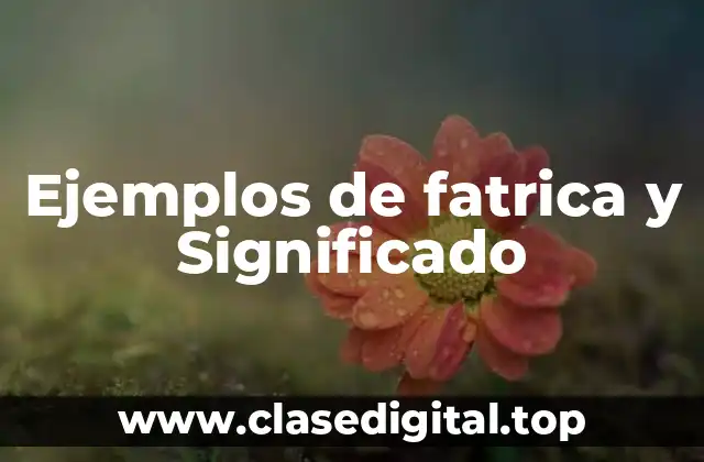 Ejemplos de fatrica y Significado