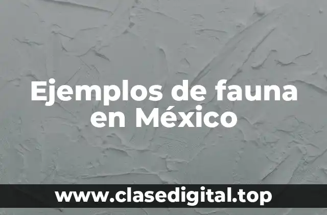 Ejemplos de fauna en México