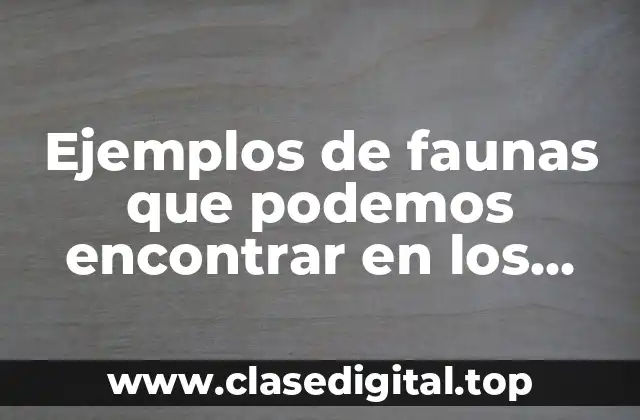 Ejemplos de faunas que podemos encontrar en los patisales