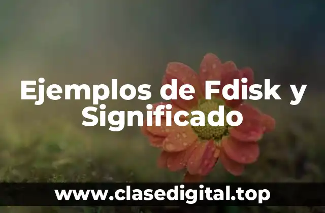 Ejemplos de Fdisk y Significado