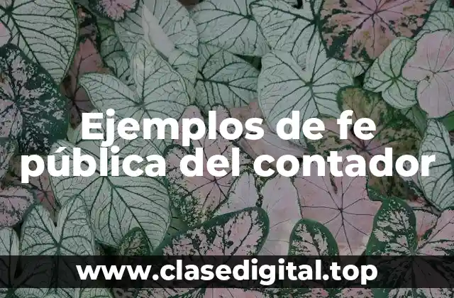 Ejemplos de fe pública del contador