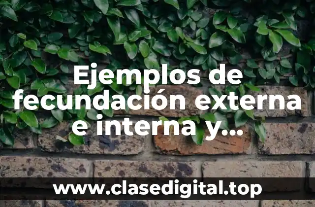 Ejemplos de fecundación externa e interna y Significado