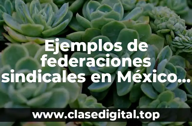 Ejemplos de federaciones sindicales en México y Significado