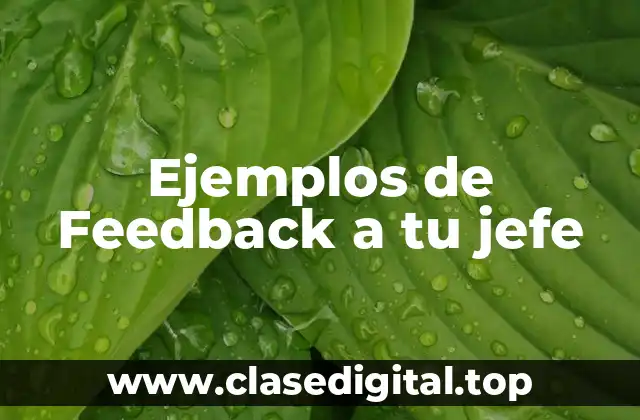 Ejemplos de Feedback a tu jefe
