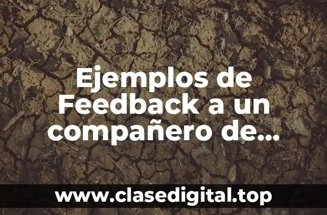 Ejemplos de Feedback a un compañero de trabajo