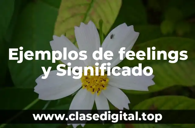 Ejemplos de feelings y Significado