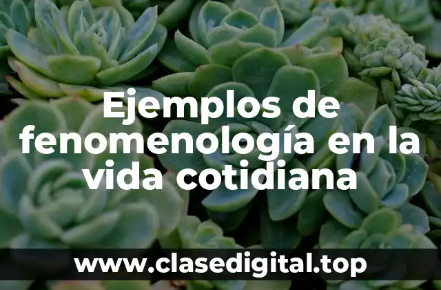 Ejemplos de fenomenología en la vida cotidiana