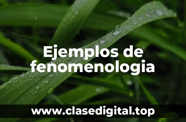 Ejemplos de fenomenologia