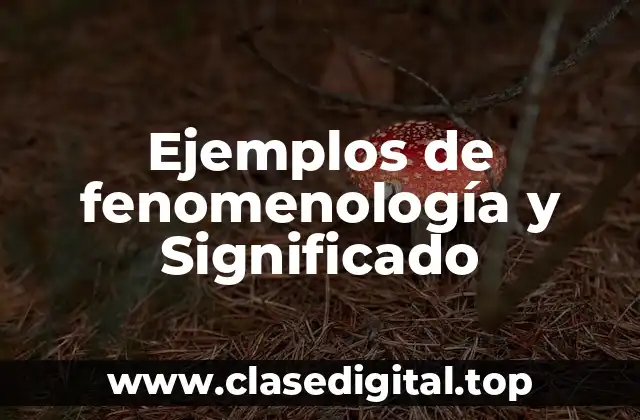 Ejemplos de fenomenología