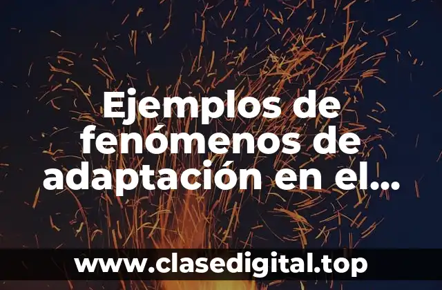 Ejemplos de fenómenos de adaptación en el polo norte