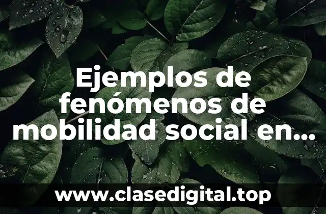 Ejemplos de fenómenos de mobilidad social en países emergentes