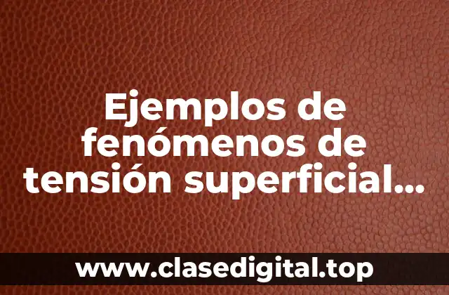 Ejemplos de fenómenos de tensión superficial en la vida cotidiana