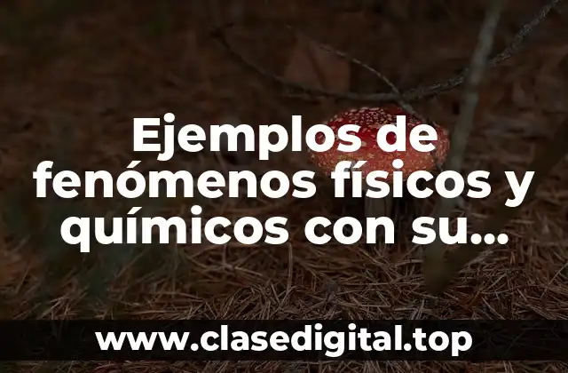 Ejemplos de fenómenos físicos y químicos con su explicación y Significado