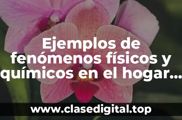 Ejemplos de fenómenos físicos y químicos en el hogar y Significado