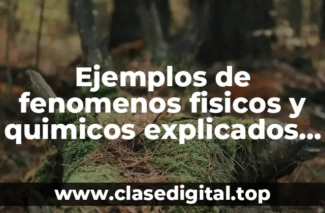 Ejemplos de fenomenos fisicos y quimicos explicados de la naturaleza
