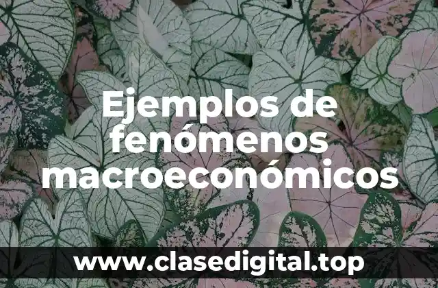 Ejemplos de fenómenos macroeconómicos