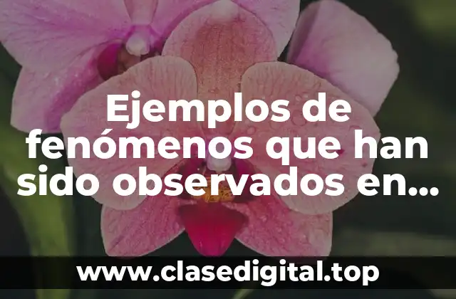 Ejemplos de fenómenos que han sido observados en vida cotidiana