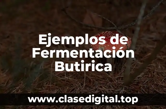 Ejemplos de Fermentación Butirica