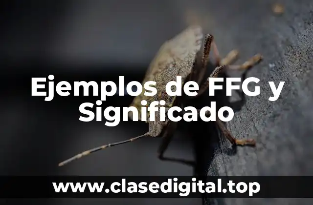 Ejemplos de FFG y Significado