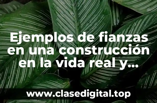 Ejemplos de fianzas en una construcción en la vida real