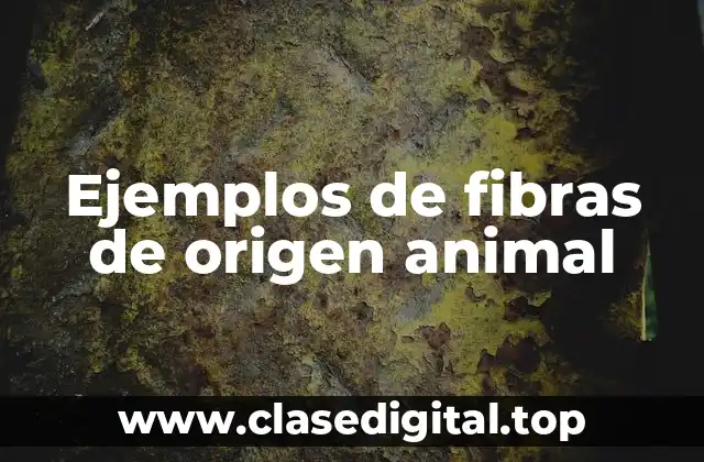 Ejemplos de fibras de origen animal
