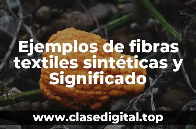 Ejemplos de fibras textiles sintéticas y Significado
