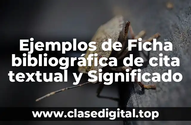 Ejemplos de Ficha bibliográfica de cita textual y Significado