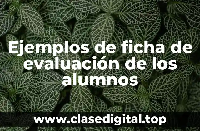 Ejemplos de ficha de evaluación de los alumnos