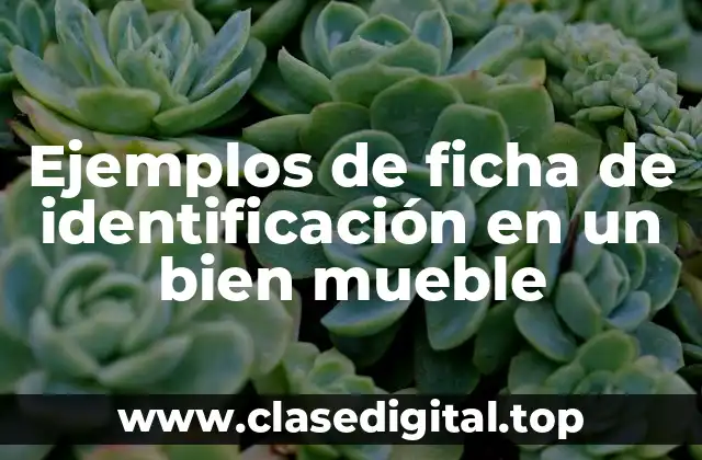 Ejemplos de ficha de identificación en un bien mueble