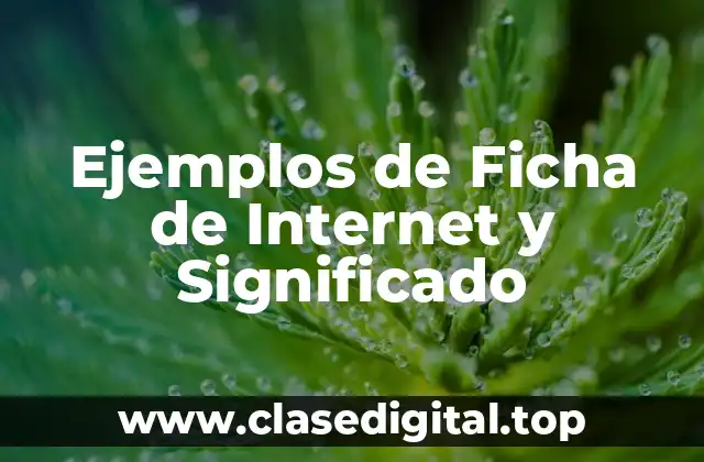 Ejemplos de Ficha de Internet y Significado