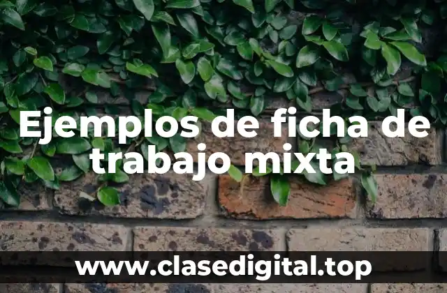 Ejemplos de ficha de trabajo mixta