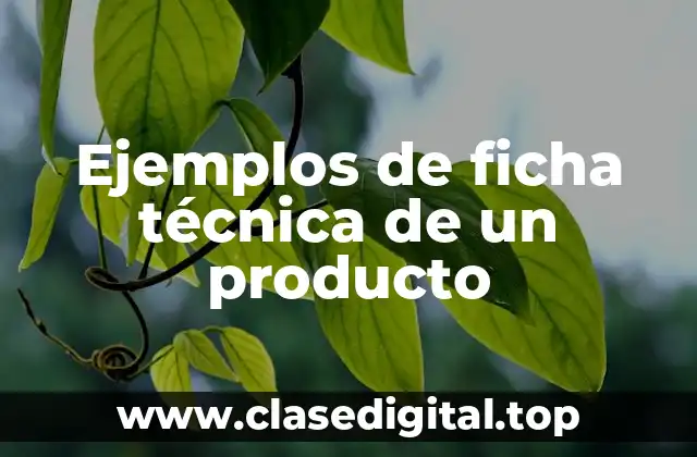 Ejemplos de ficha técnica de un producto