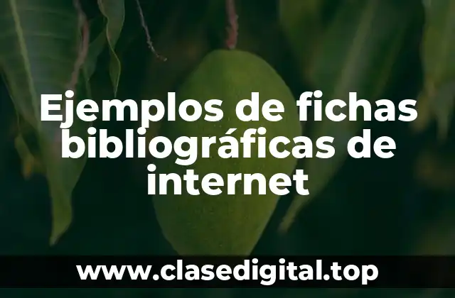 Ejemplos de fichas bibliográficas de internet